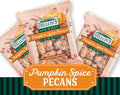 Pumpkin Spice Pecans 2.5oz
