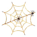 Lighted Spider Web