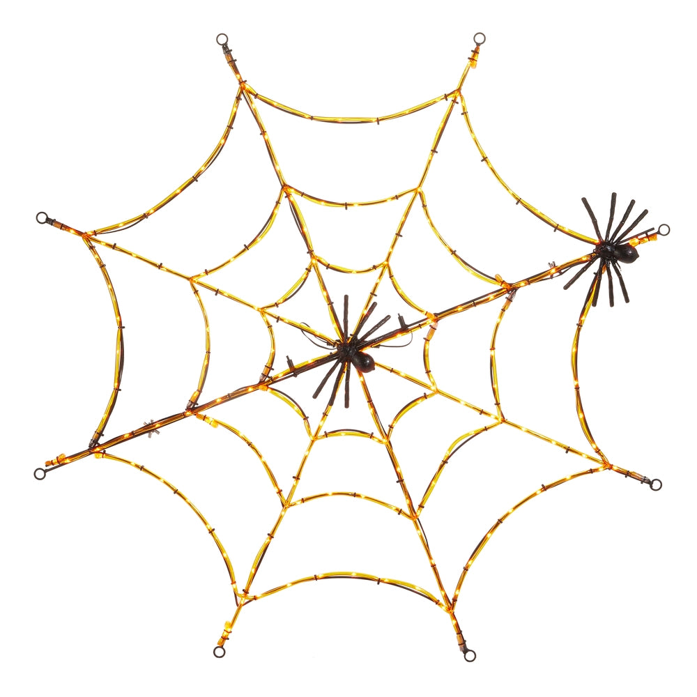 Lighted Spider Web