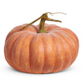 9" Harvest Pumpkin