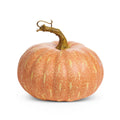 5" Harvest Pumpkin