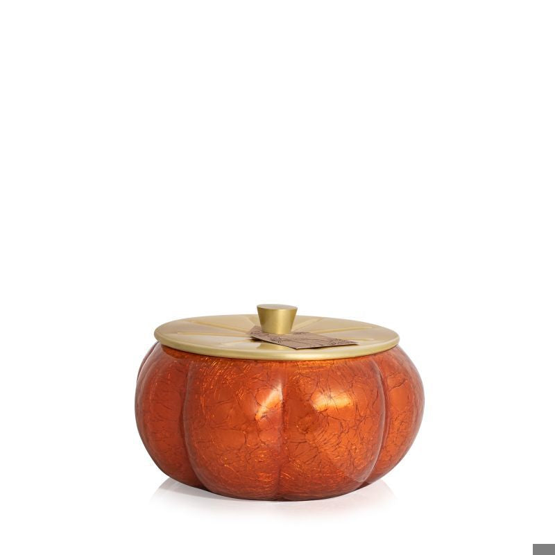 Thymes Pumpkin Laurel 15oz Large Candle