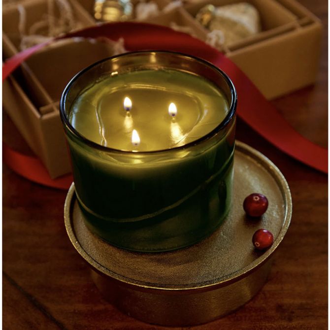 Thymes Frasier Fir 17oz Poured Candle, 3-wick, Green
