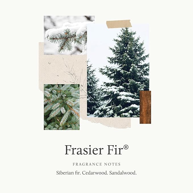 Thymes Frasier Fir Car Diffuser Kit