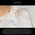 Hollowood Candles-Everyday Scents Car Diffuser
