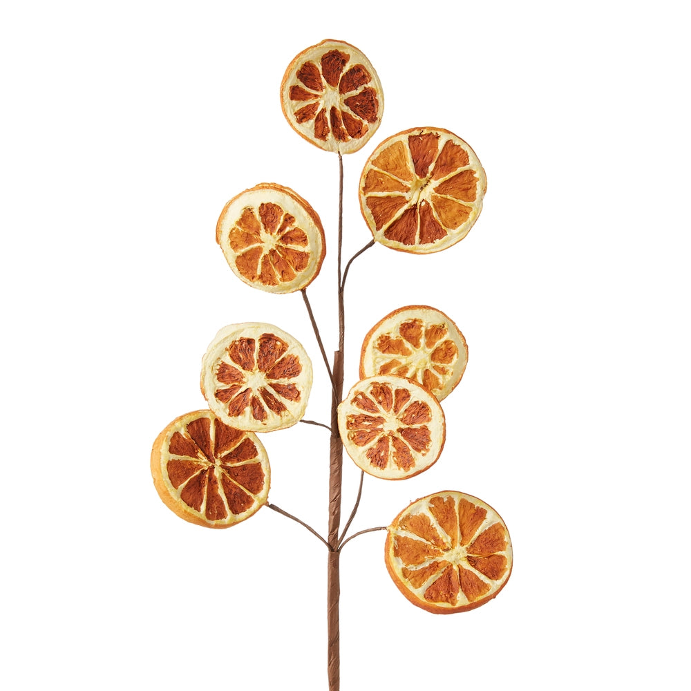 18.5" Orange Slice Spray
