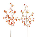 33" Rosehip Spray