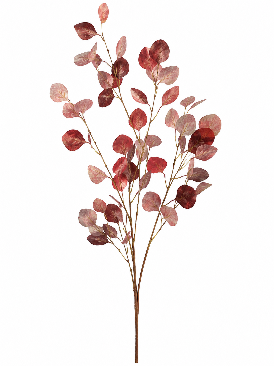 Antique Eucalyptus Spray