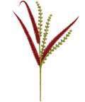Red & Green Fern Spray