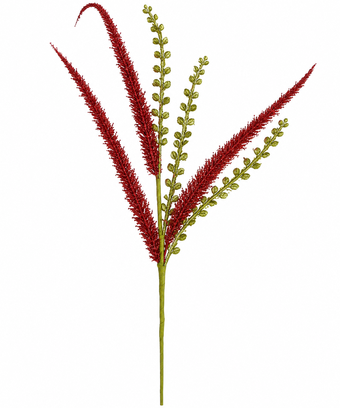 Red & Green Fern Spray