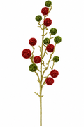 Whimsical Red & Green Spray