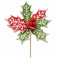 Whimsical Red & Green Poinsettia