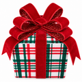Red & Green Plaid Boxed Present Ornament