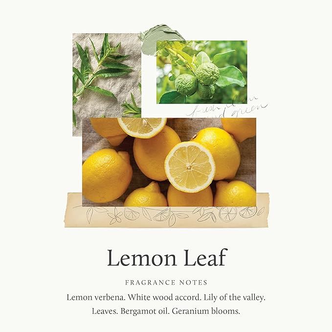 Lemon Leaf Hand Wash- Full Size
