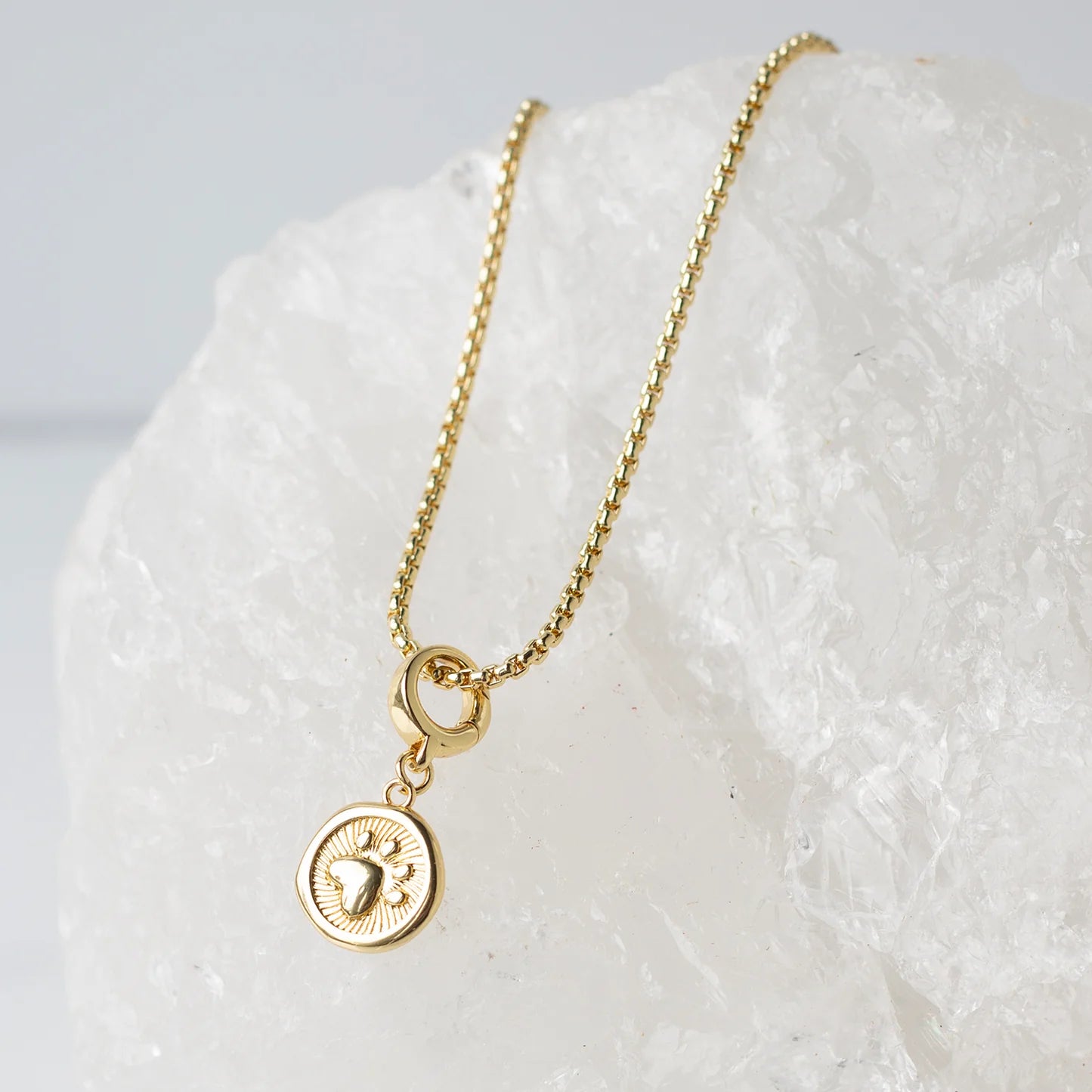 Paw Print Charm, Gold, Charm Bar 🐶 Pet Pick 🐶