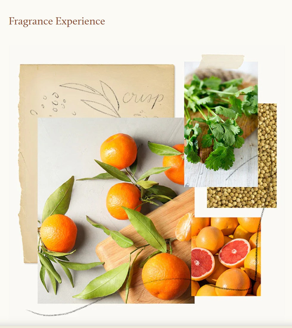 Mandarin Coriander Countertop Spray