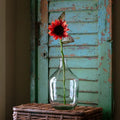 Paprika Sunflower Stem