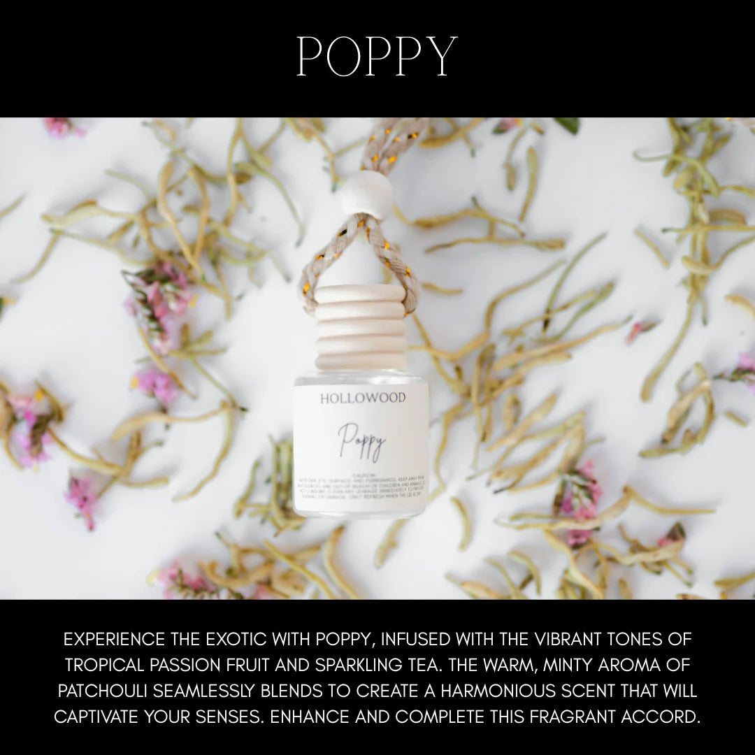 Hollowood Candles-Everyday Scents Car Diffuser