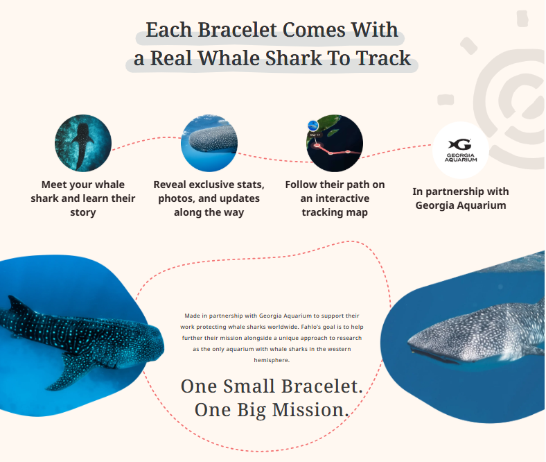 Fahlo-The Quest SkyStone Bracelet