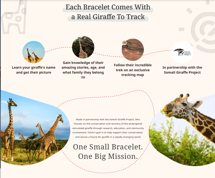Fahlo- The Trek Sky Moon Bracelet