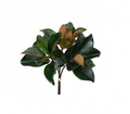 18" CHARLESTON MAGNOLIA BUNDLE