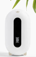 Blondie on the  Go Wall Diffuser