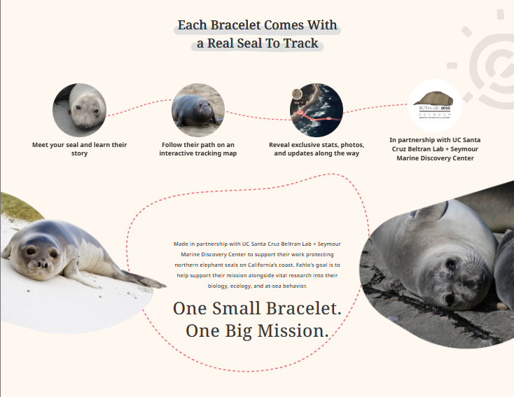 Fahlo-The Glide  Sky Stone Bracelet