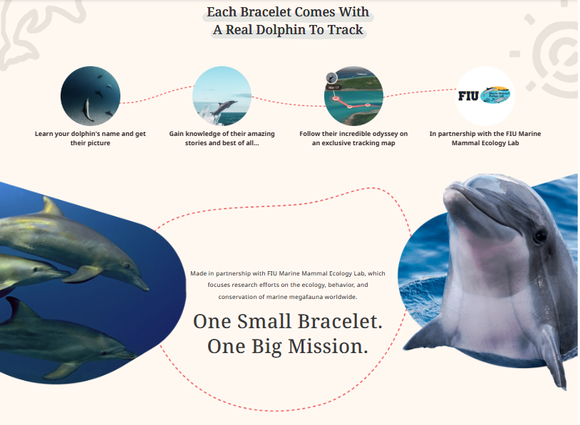 Fahlo-The Odysse Aqua Blue Bracelet
