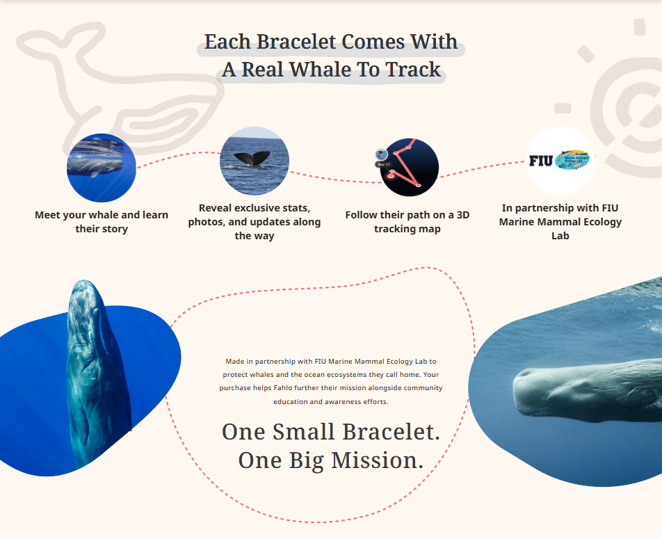Fahlo-The Wayfare Dune Bracelet