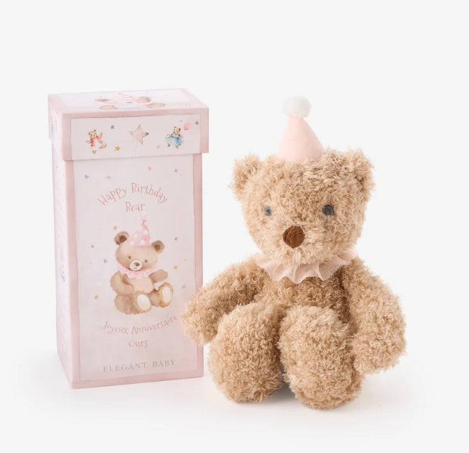 Birthday Bear Plush Toy w/ Gift Box