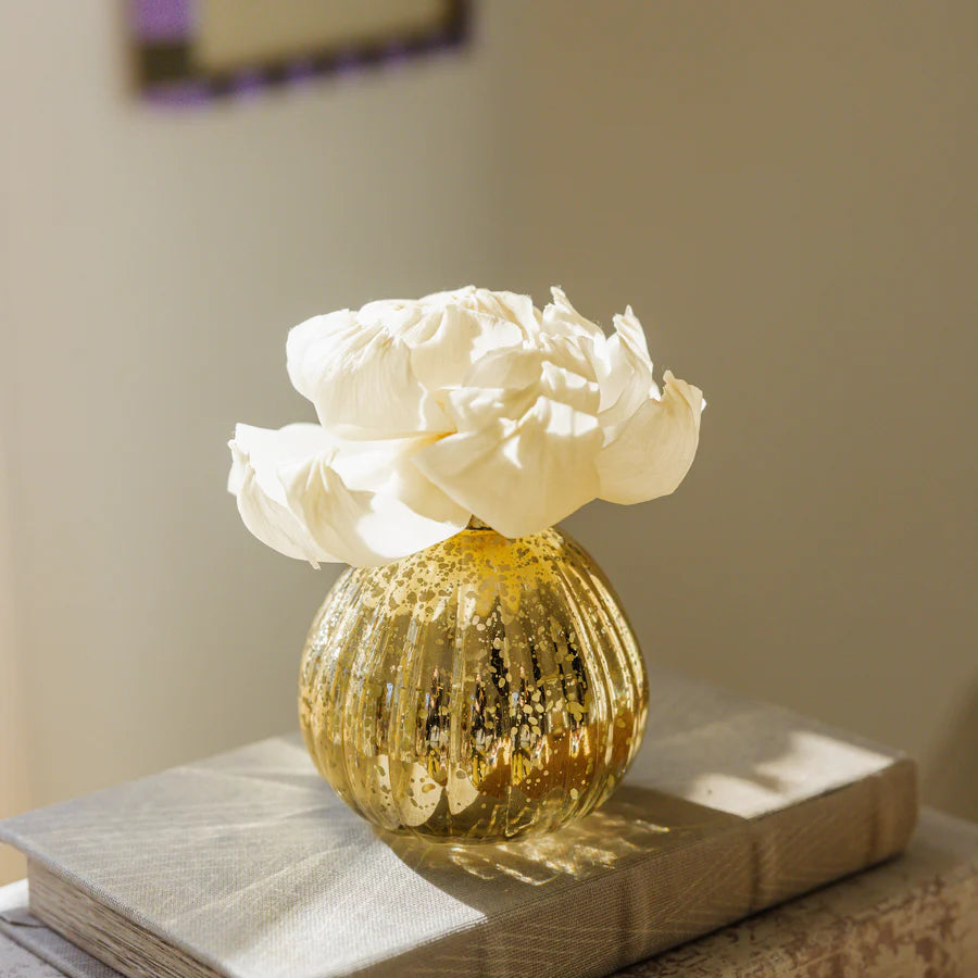 Sweet Grace Dye-Free Fragrance Refill Oil