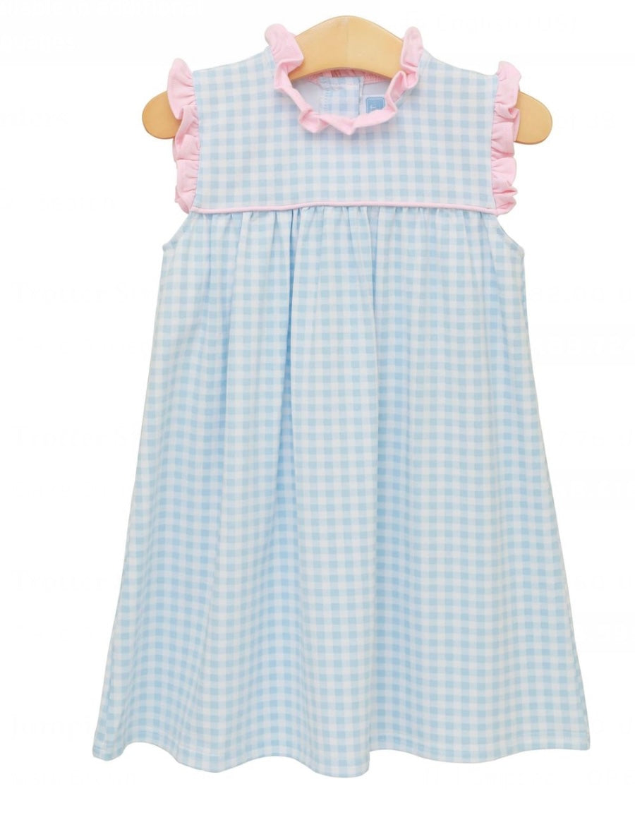 Blue/Pink Gingham Dress