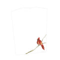 Watercolor Cardinal Guest Towels