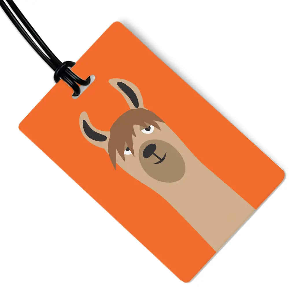 R Nichols Luggage Tags
