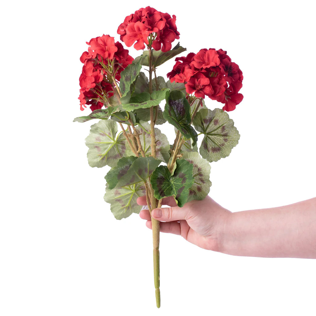 18" Red Geranium Bush