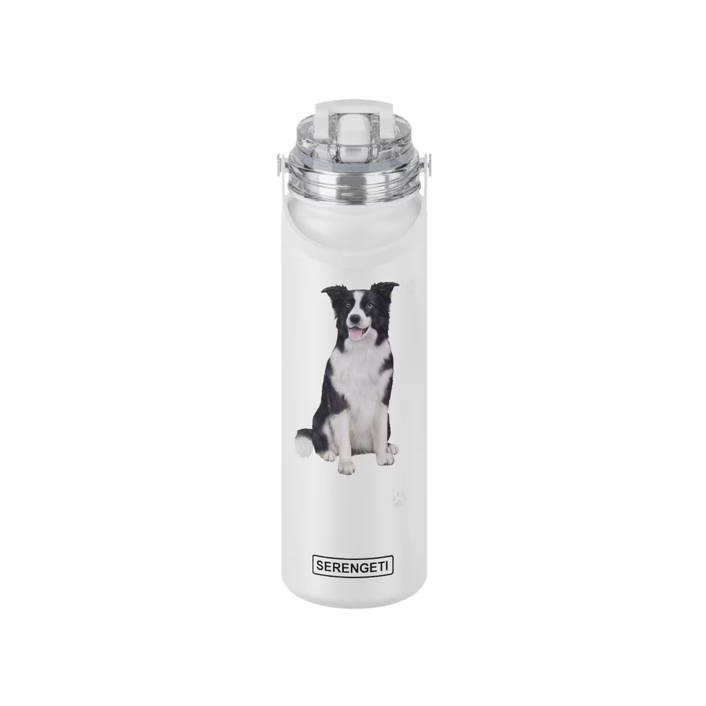 Pet-Stainless Steel Water Bottle, 24-oz