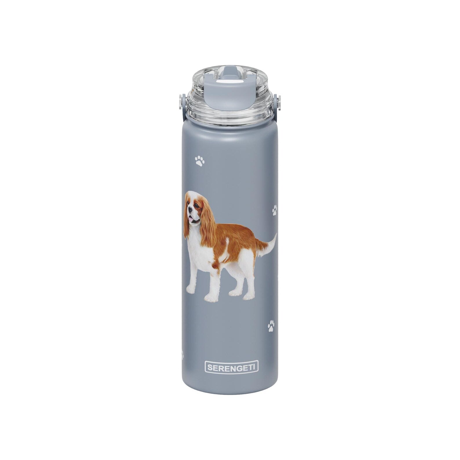 Pet-Stainless Steel Water Bottle, 24-oz