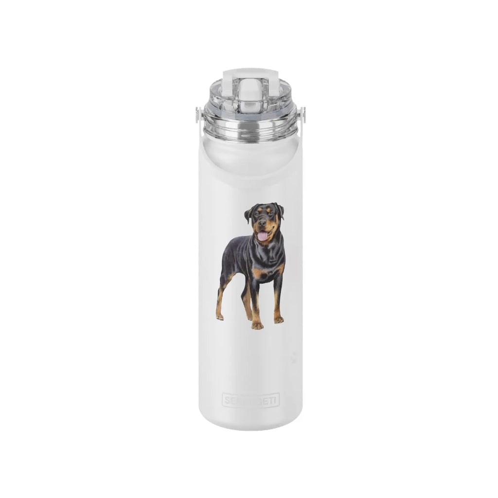 Pet-Stainless Steel Water Bottle, 24-oz
