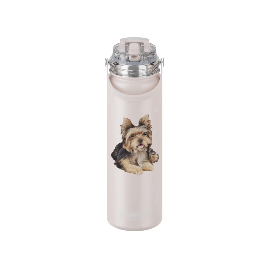 Pet-Stainless Steel Water Bottle, 24-oz