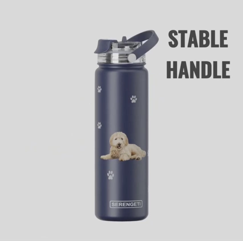 Pet-Stainless Steel Water Bottle, 24-oz