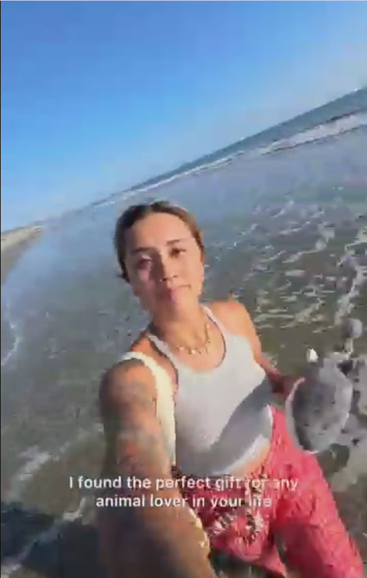 Fahlo-Dolphin Plush