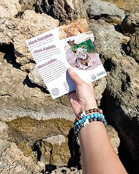 Fahlo-The Excursion Sky Stone Bracelet