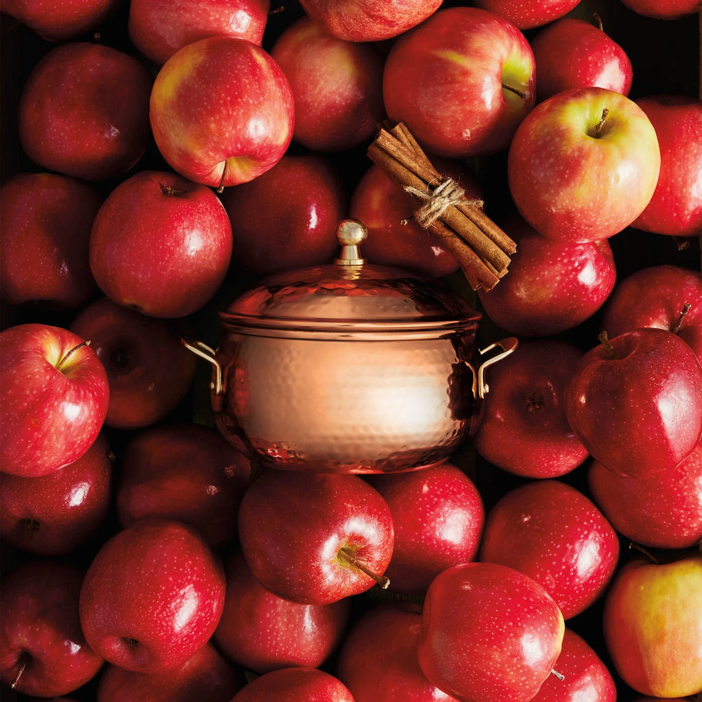 Thymes Simmered Cider Poured Candle, Copper Pot 3-wick